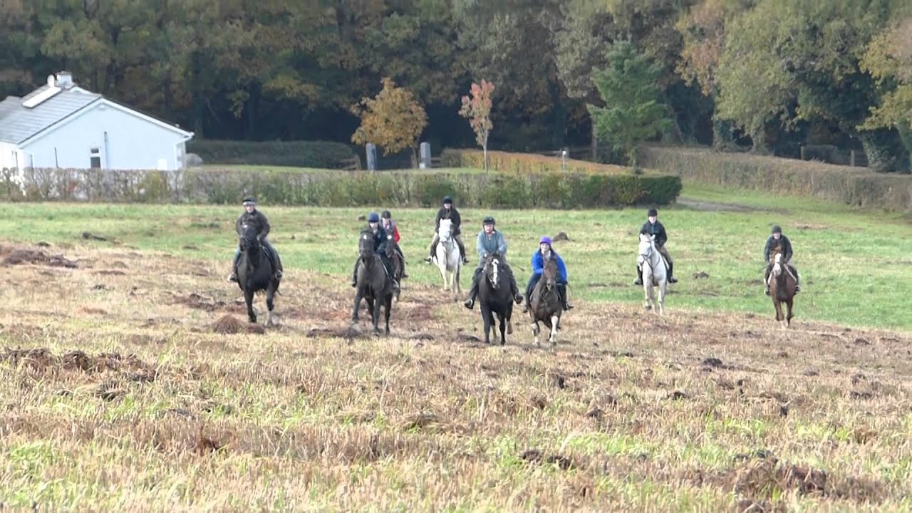 Thursday morning ride-out at Bel-Air