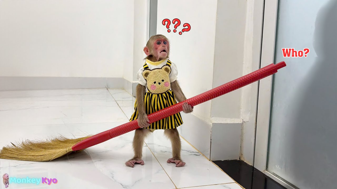 So funny! Kyo hears strange noises in the bathroom...and reacts unexpectedly!