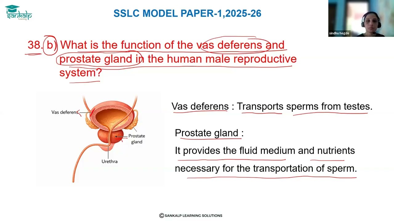 Образец экзаменационного задания 1 - Наука - Электроника - Вопрос № 38А