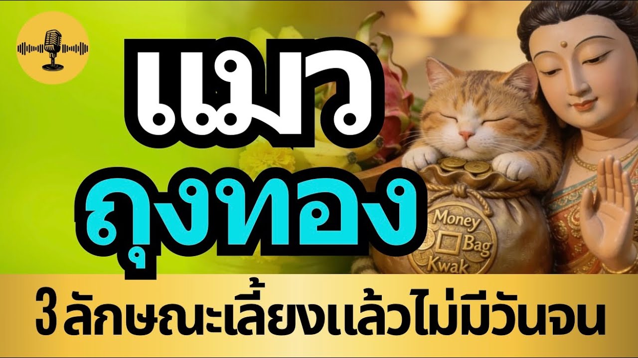 แมวถุงทอง | 3 ลักษณะเลี้ยงแล้วไม่มีวัจน