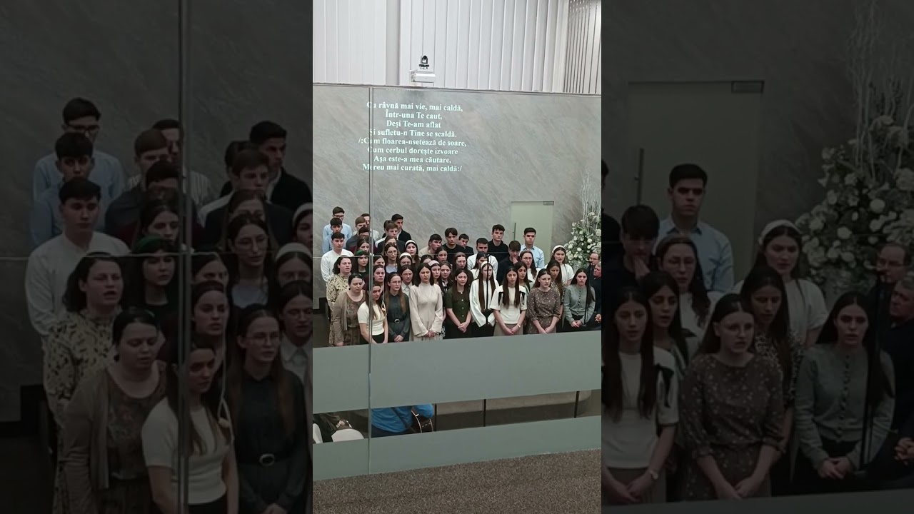 TE CAUT! Tineri Betel Botosani. 14 02 2026