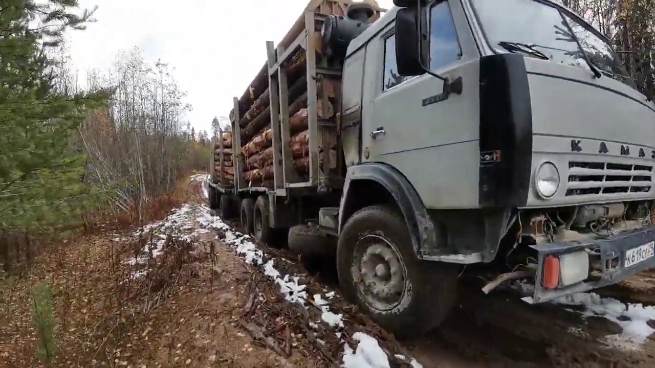 Многотонный зверь выберается из леса!!!