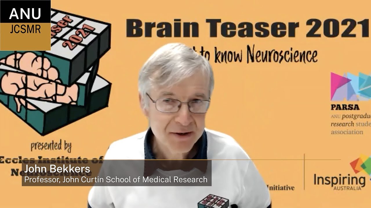 Neuroscience: What, Why, How?