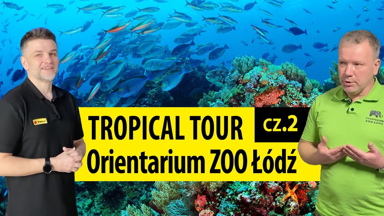 TROPICAL TOUR | Z wizytą w Orientarium ZOO w Łodzi cz. 2 | Sekcja gadów i płazów (ENG SUB)