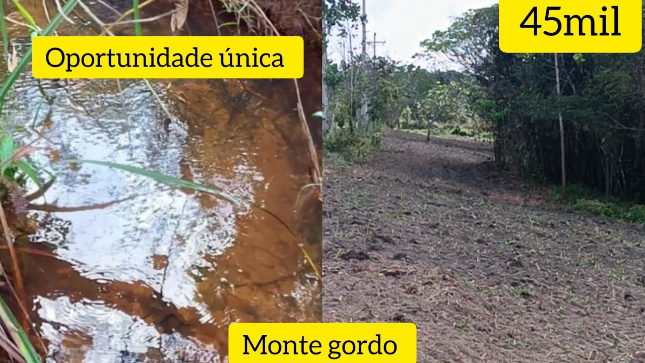 CHÁCARA A VENDA EM MONTE GORDO CAMAÇARI (BAHIA) Oportunidade única/ 45mil