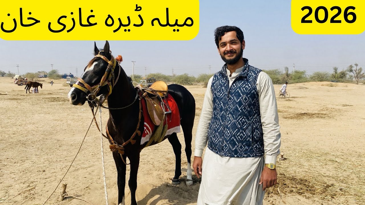 Visit Dera ghazi khan horse mandi (mela) 2026