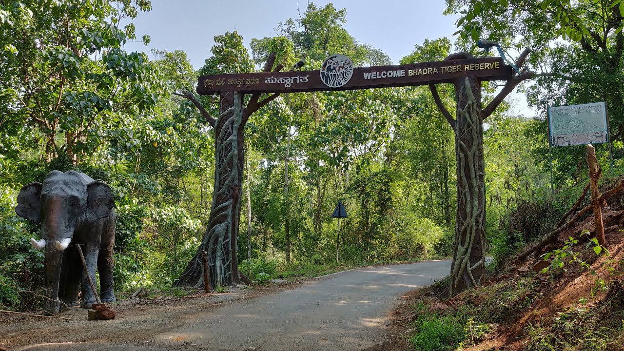 Drive through-Chikmagalur to Bhadra Tiger Reserve [Muthodi]