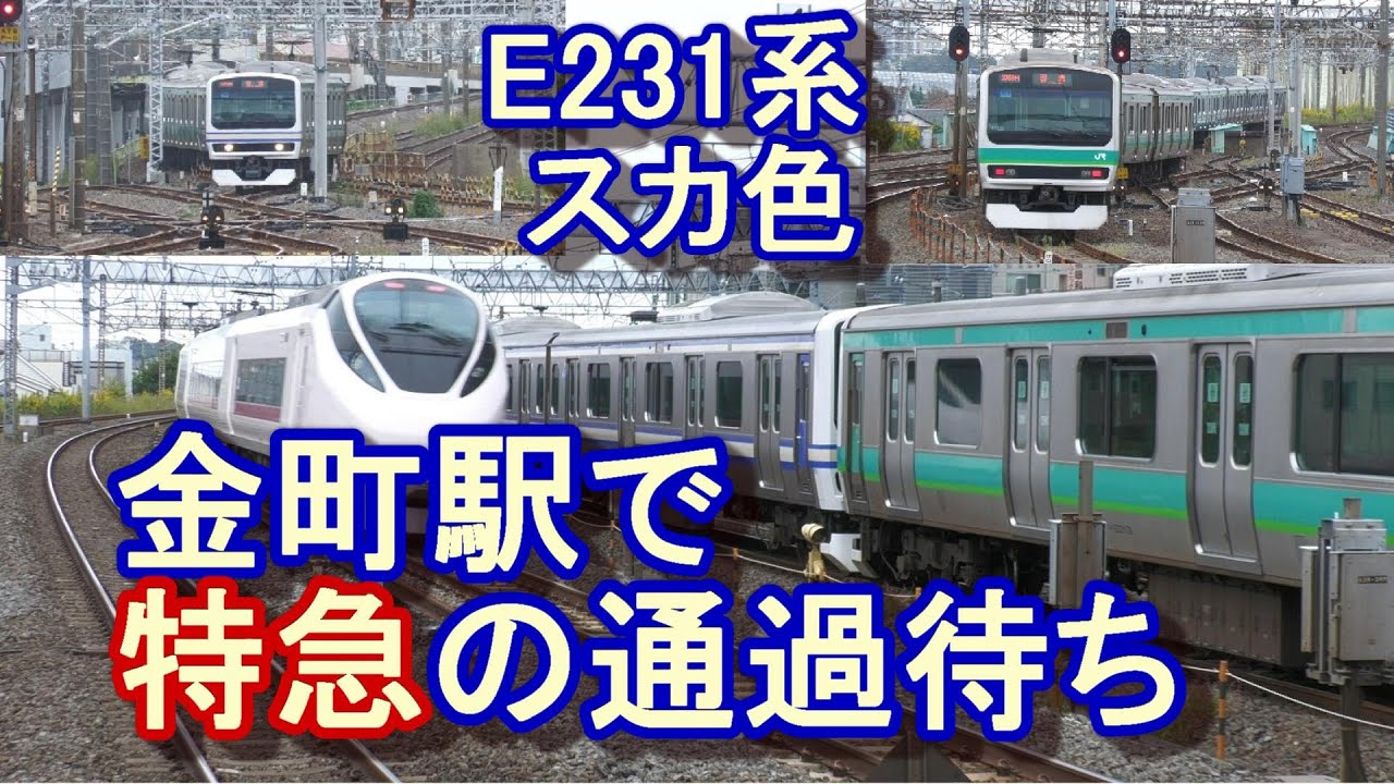 【金町駅で特急の通過待ち⁉】スカ色の常磐線E231系（マト139編成）が金町駅の側線に入線
