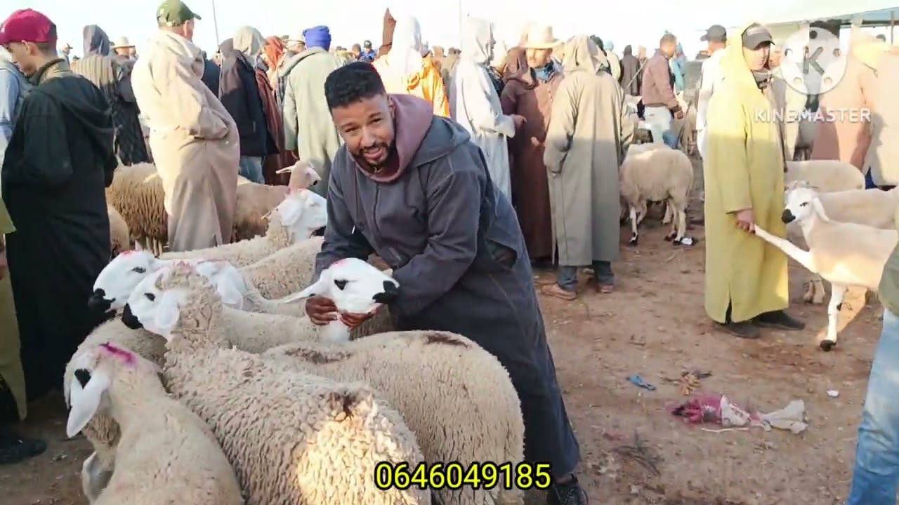 الله الله على سوق الثلاثاء بن جرير اقليم الرحامنة أجيو تسوقو معايا أتمنة بتاريخ 06/05/2025