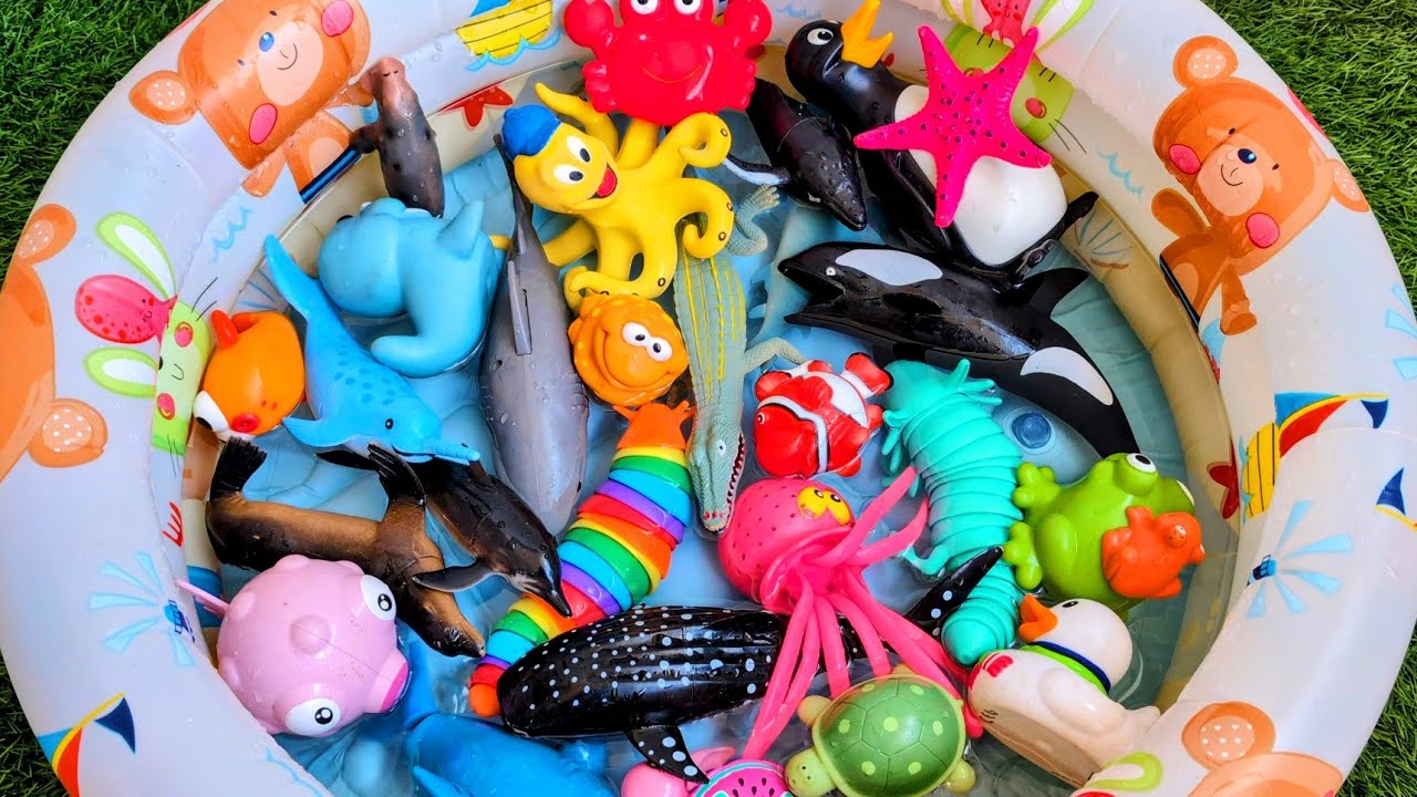 Sea Animals for Kids | Learn Ocean Animal Names with Fun Toys 🐬 for Kids