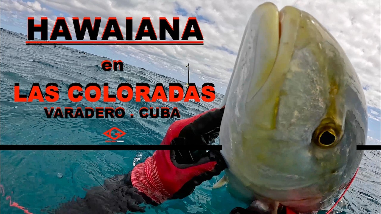 PESCA SUB con HAWAIANA en LAS COLORADAS. VARADERO. CUBA [4K movie]