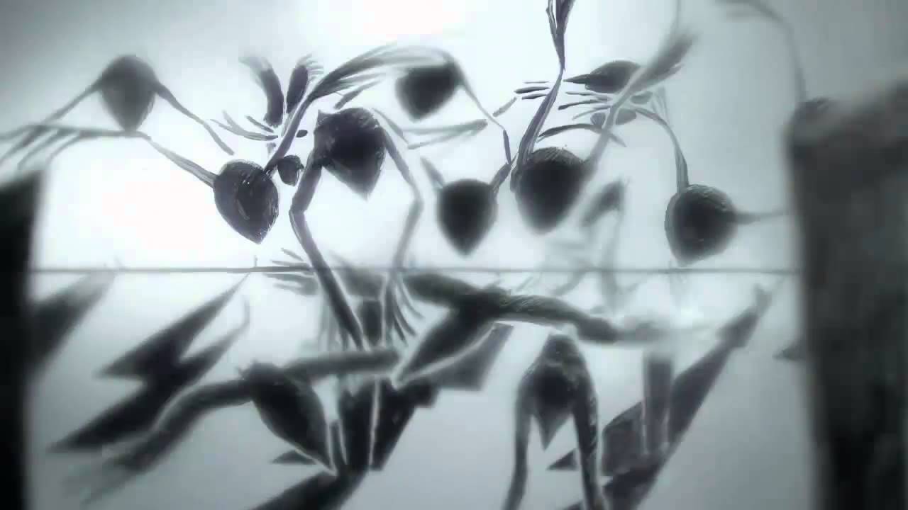 Aves migratorias - Skay Beilinson