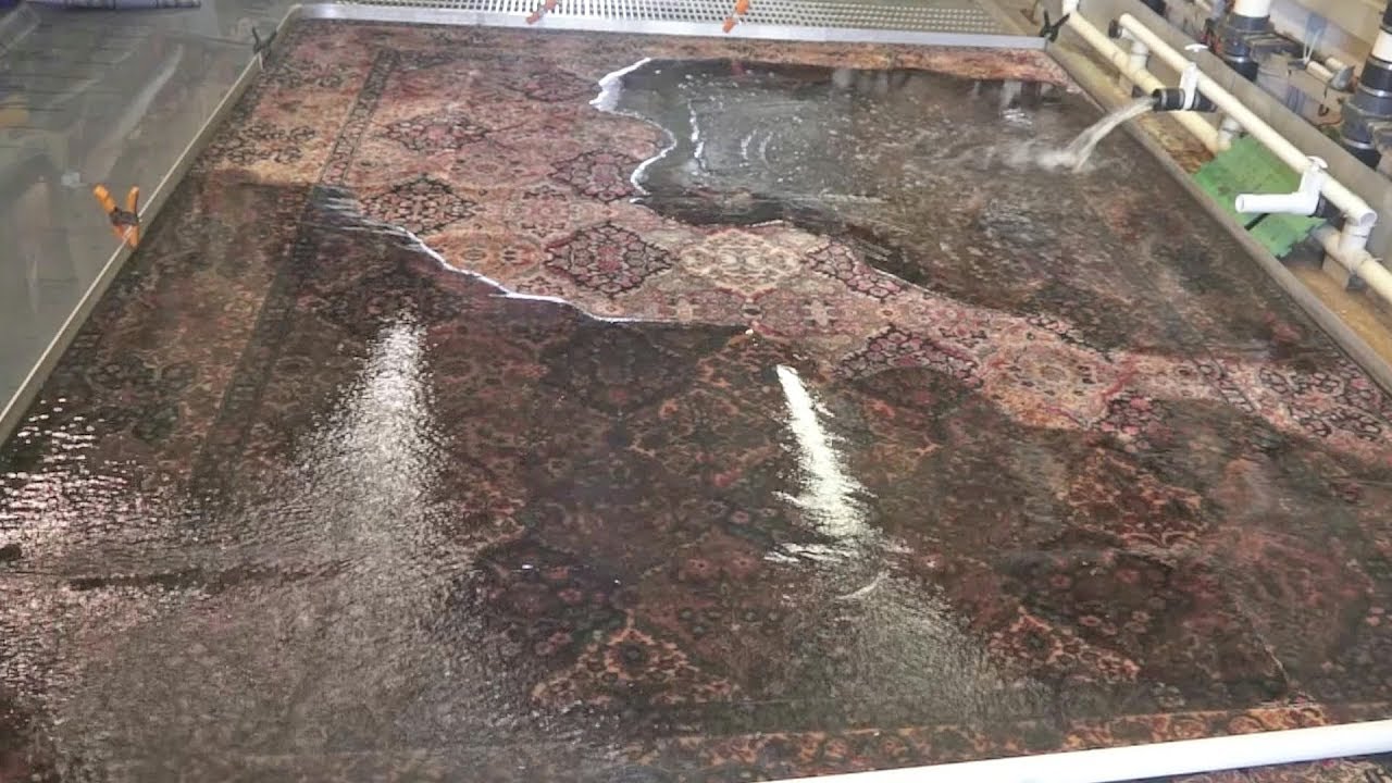 Free Chemical Oriental rug cleaning-By PetPeePee company