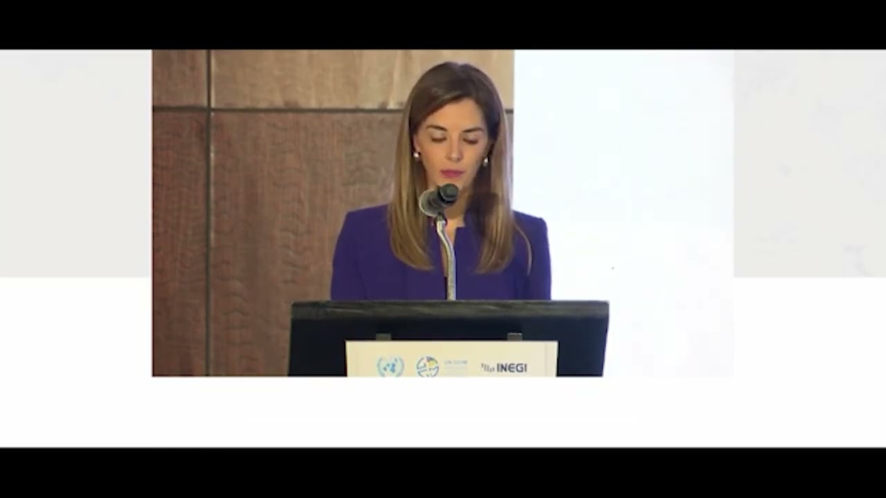 Opening Speech &ndash; 7th HLF UN-GGIM