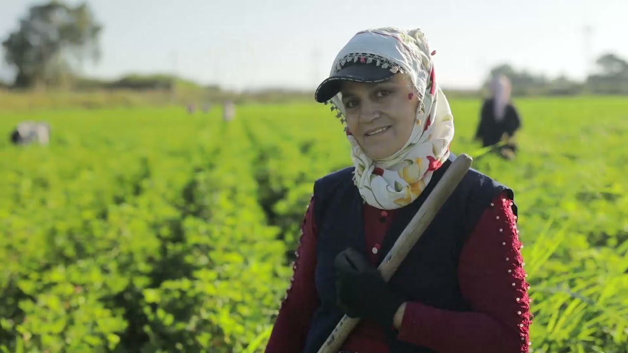 Farm to Fabric - Sanko Textile - I Mean It Creative