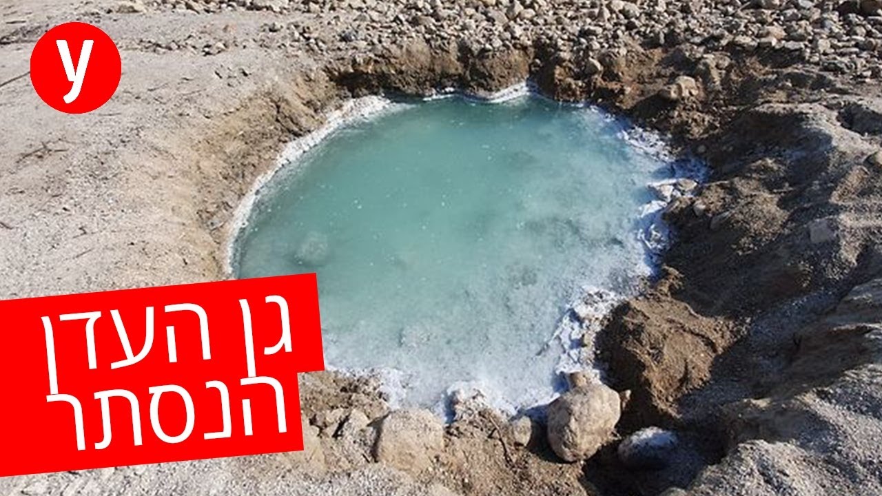 סוד פראי ומסוכן: מסע לעין קדם
