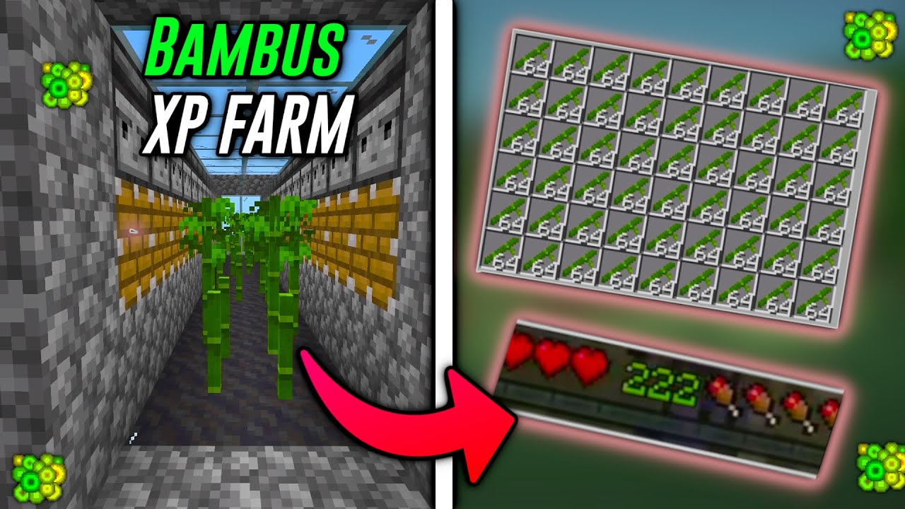Diese Einfache Kaktus/Bmbus XP Farm muss du sofort bauen  Minecraft 1.20