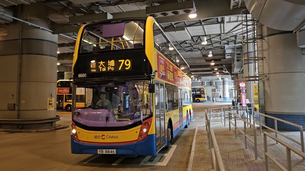 Hong Kong Bus CTB 8560 @ 79 城巴 Alexander Dennis Enviro500 MMC New Facelift 大圍站 - 皇后山