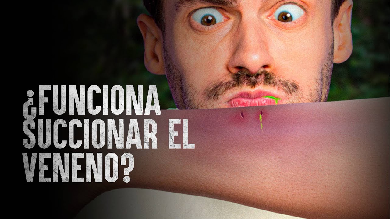 Lo peor que puedes hacer si te muerde una serpiente