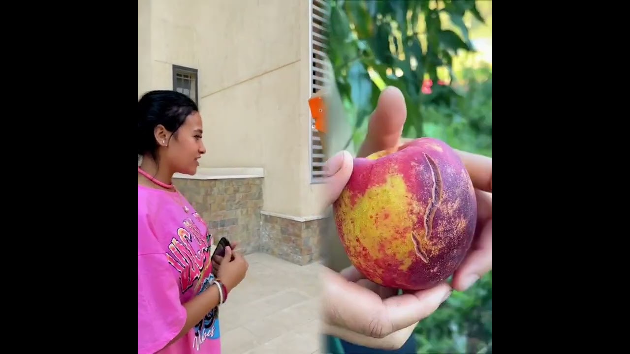 🤣👌👌👌2026 pov Must-Watch Crazy Clips Compilation #humor #fypシ #pov #fyp #foryou #funny 😍😜