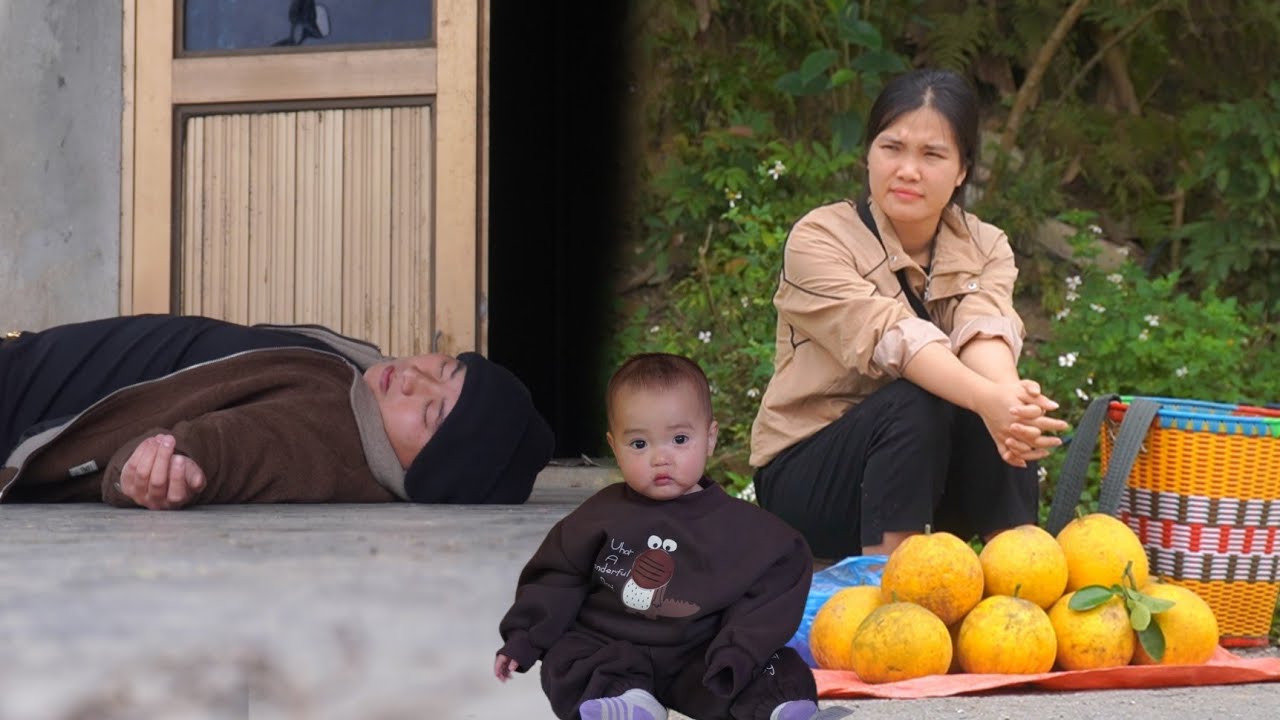 Huong harvests grapefruit to sell for a living - What happened to Jon? Lý Tử Hường