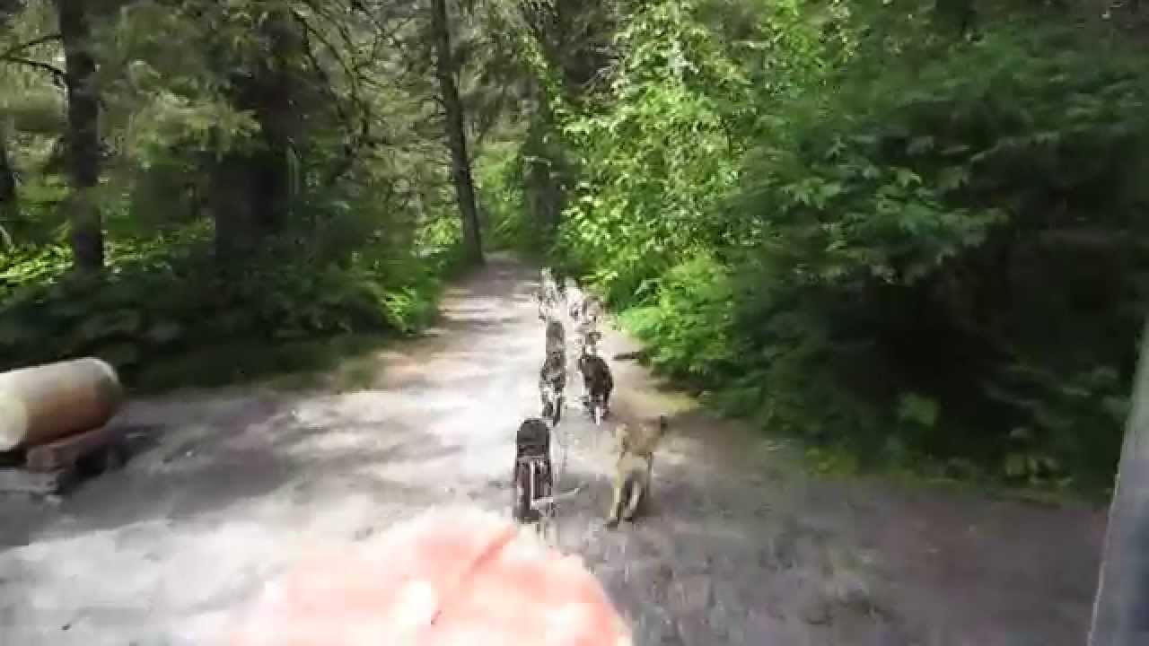 Seavey's Ididaride Sled Dog Tour - Part 1