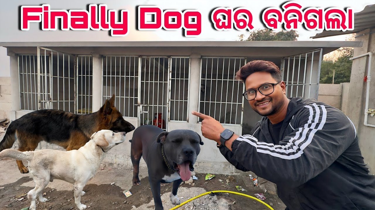 FINALLY DOG HOUSE 🏠 ବନିଗଲା || DREAM COMES TRUE || MINI ZOO ODISHA || 