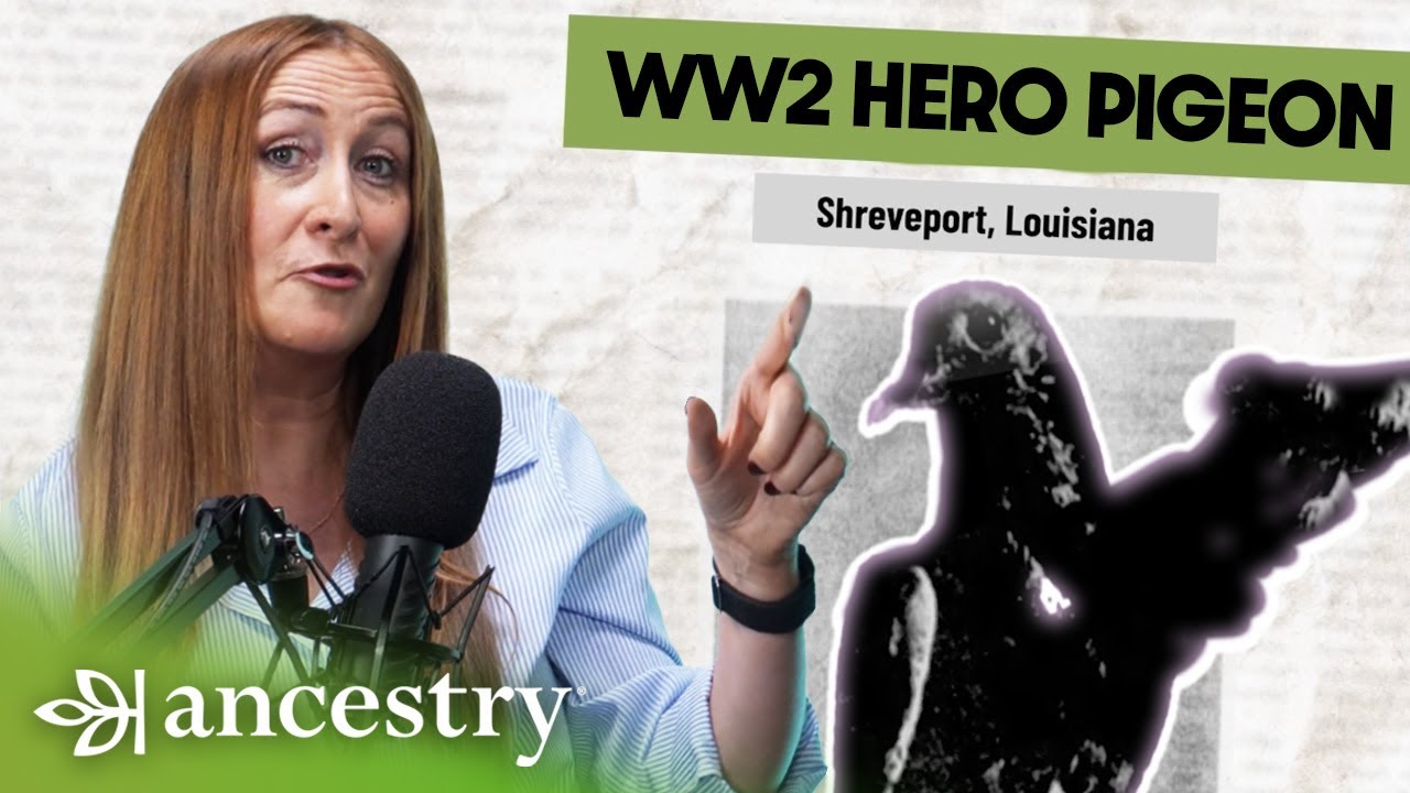 A WAR HERO PIGEON? | Behind The Headlines of History EPISODE #3 | Ancestry®