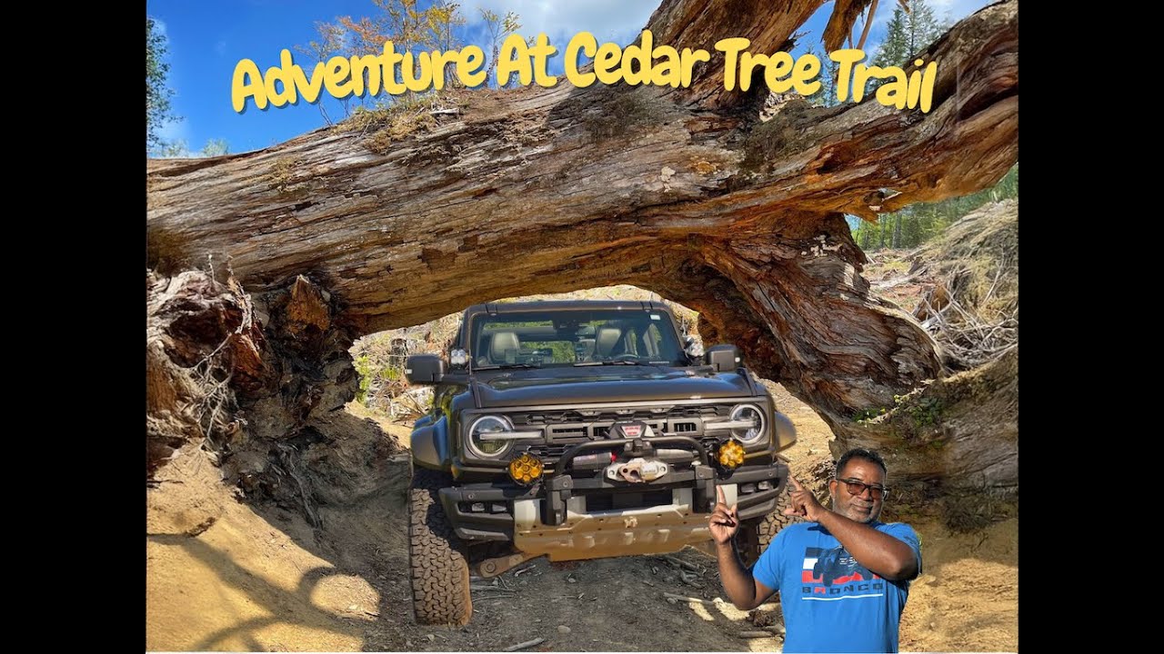 Bronco Raptor conquered The Cedar Tree Trail
