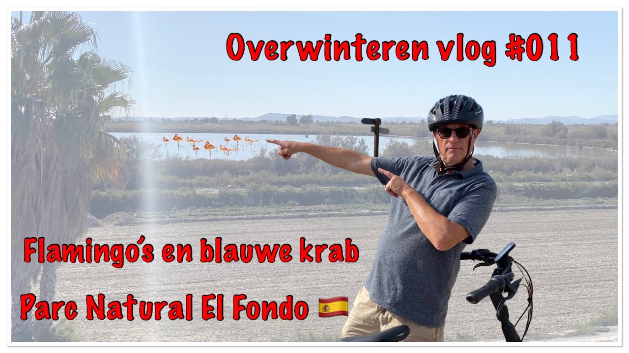 #178 pareltje van een #camperplaats #Overwinteren #Spanje #Portugal #011 | #REIZEN met de #CAMPER