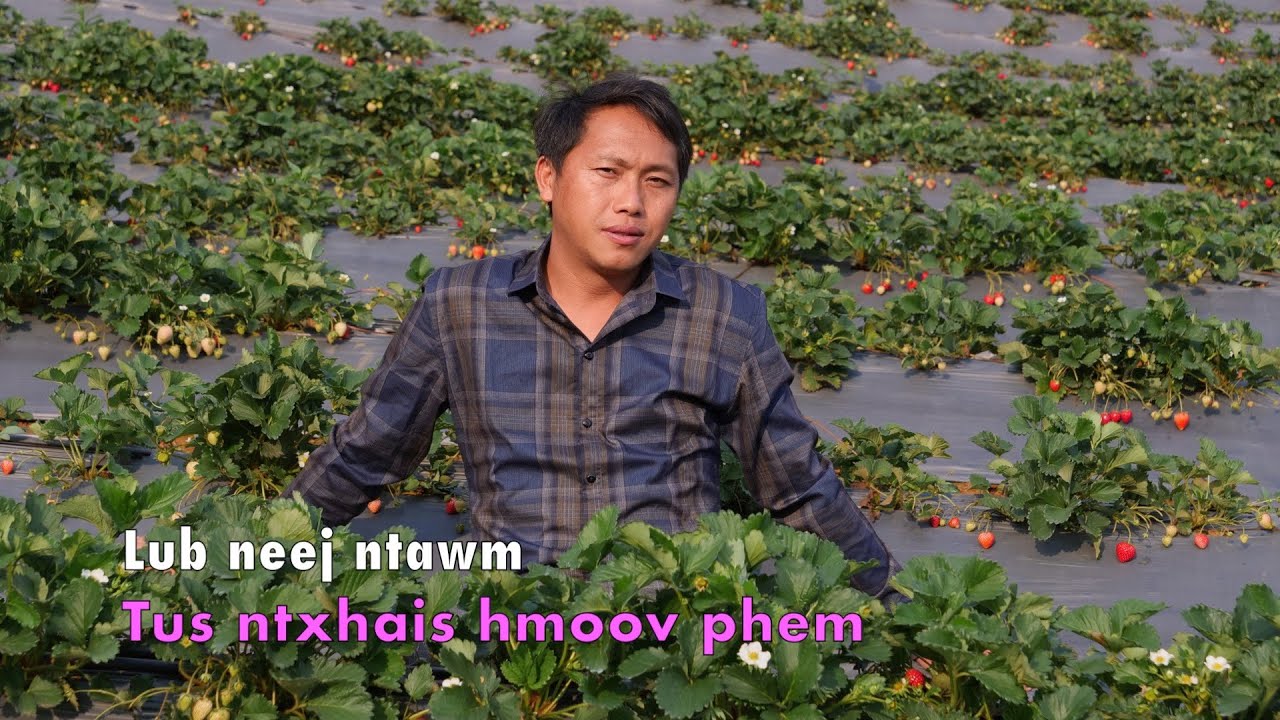 Lub neej ntawm tus ntxhais txoj hmoov phem 3/14/2024