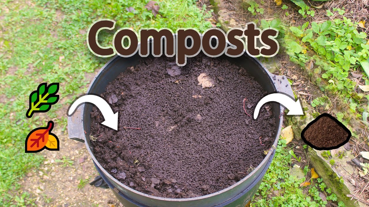 Nos différents compost: fonctionnement, utilisation, avantages et inconvénients.