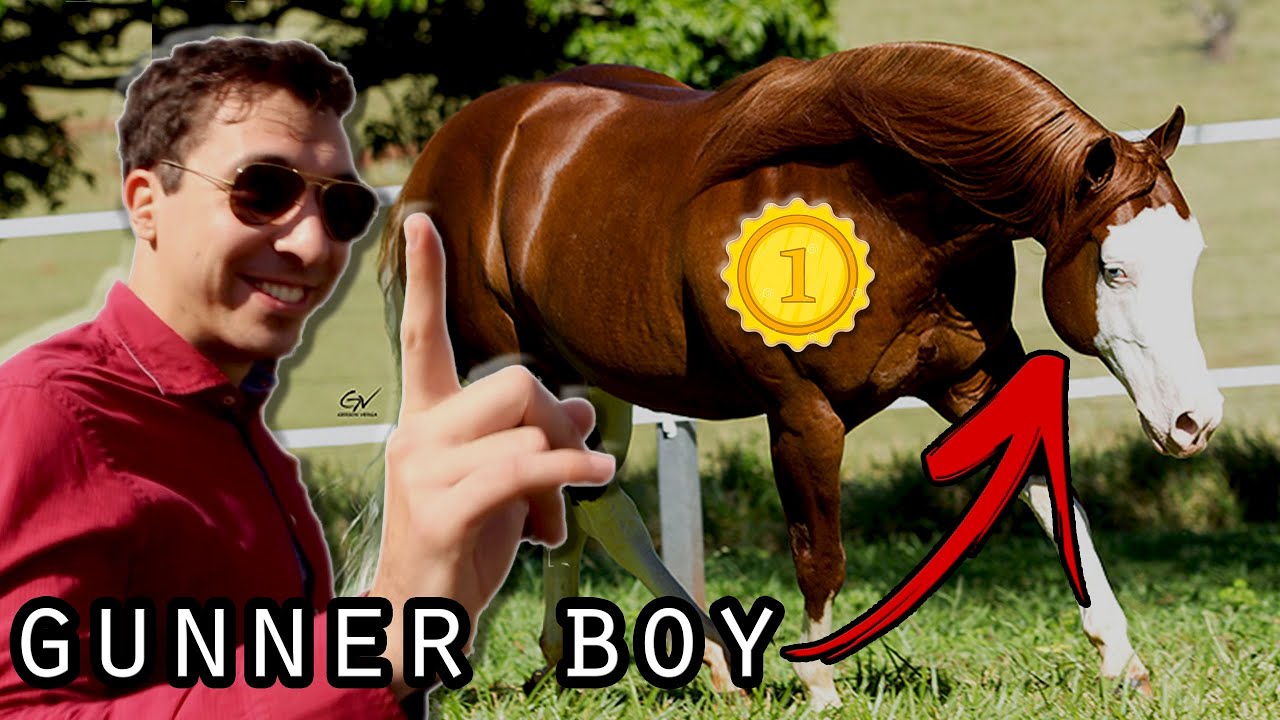 CONHECI O CAVALO N°1 DO BRASIL! GUNNER BOY - vlog
