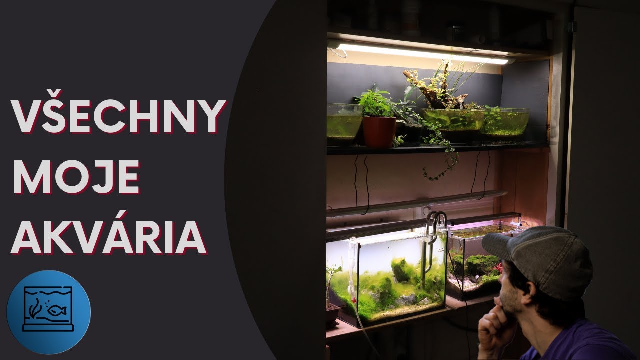 Všechny moje akvária  + chystané projekty