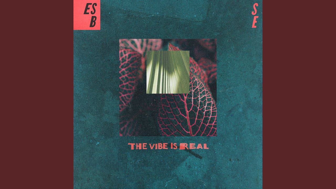 The Vibe Is Real