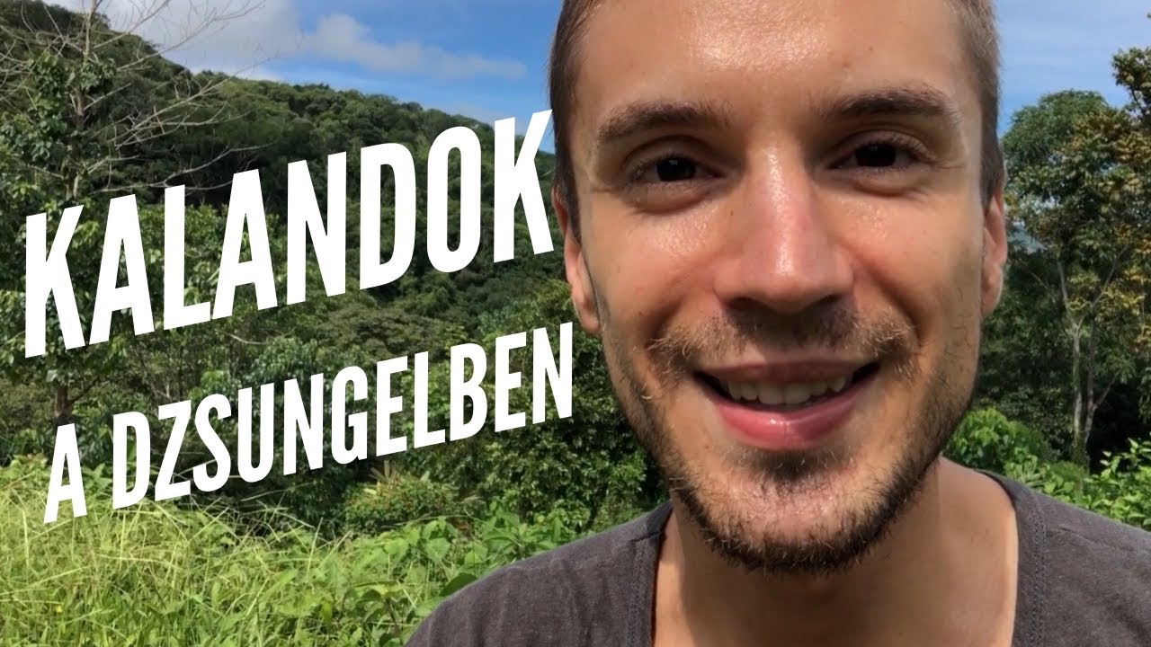 élet a costa ricai esőerdőben - egy vlog vagy mi