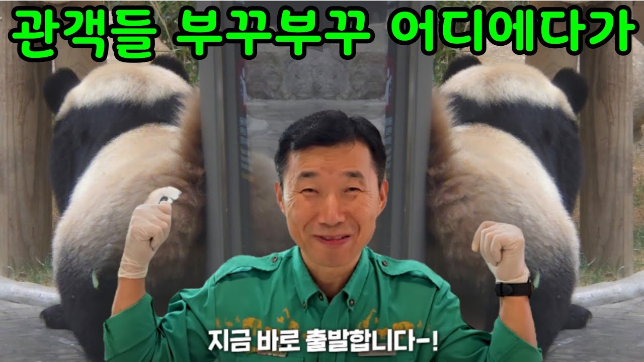2026년 2월 11일 아침부터 반갑게 인사해요 루이 후이 아이바오 러바오 