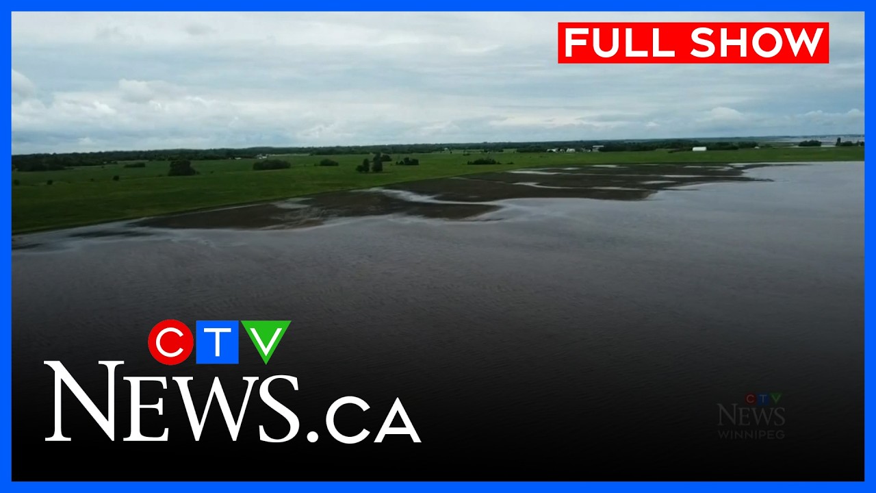 После шторма прогнозируется масштабный ущерб урожаю | CTV News Winnipeg at Five, 11 июня 2026 г.