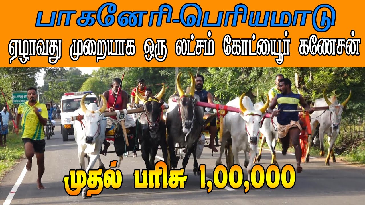 ETSS reckla race - பாகனேரி (பெரியமாடு-23.08.2022) bulls race