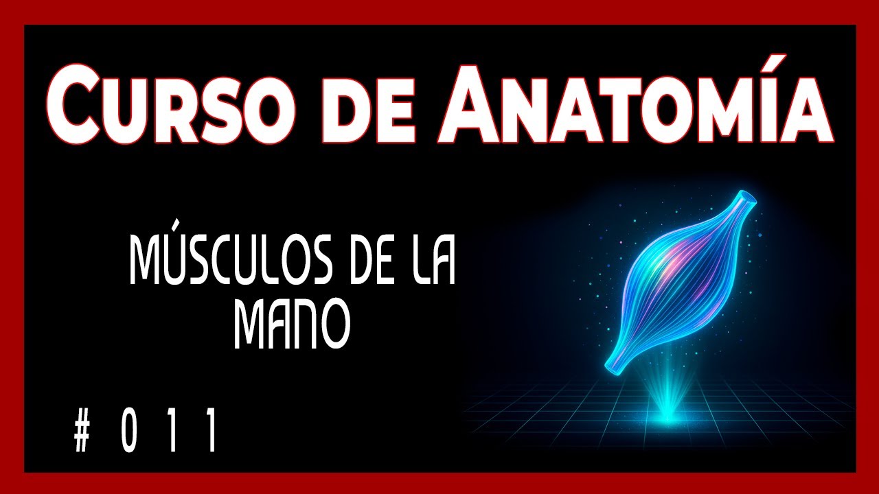 SECRETOS Anatómicos de la Mano que Debes Conocer