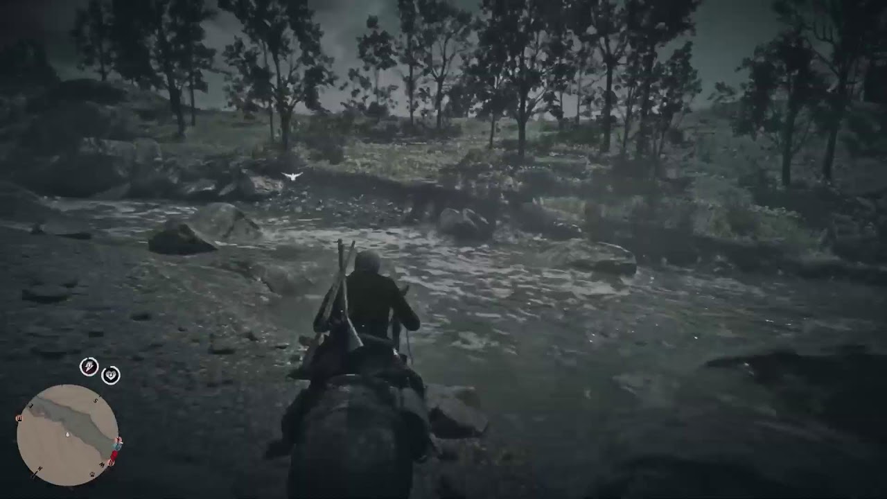 PS5 RDR2 ONLINE 241001