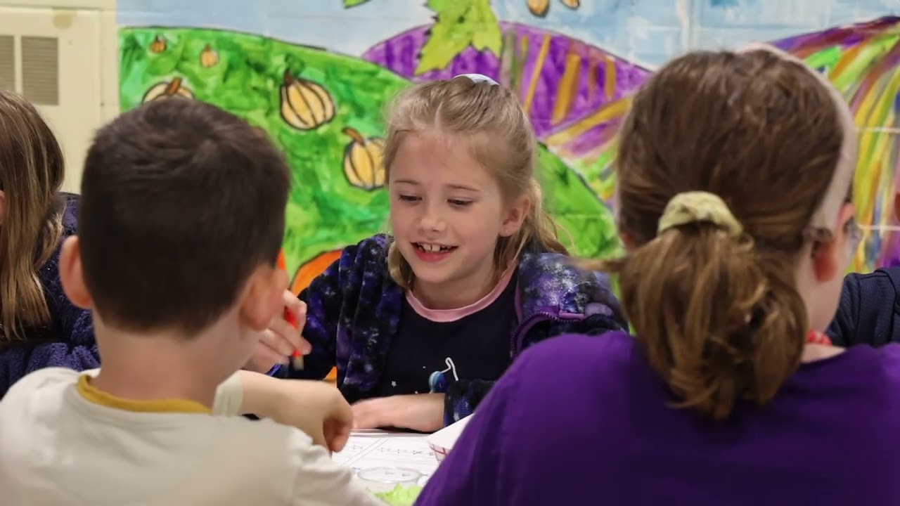 Elementary Experience