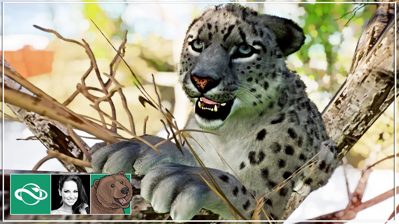 🐻 Snow Leopard Habitat & Cave Viewing | Let's play Planet Zoo Franchise Mode | Ep. 4 |