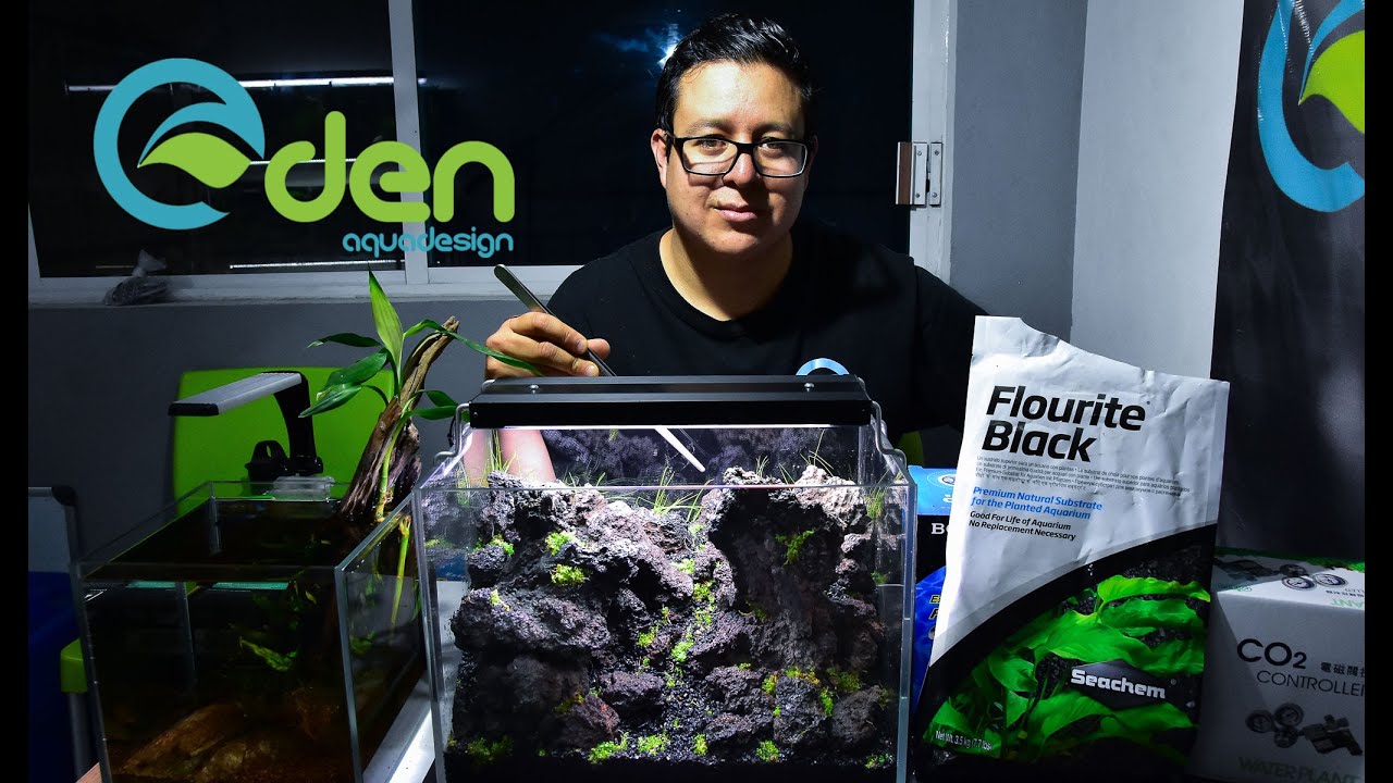 ARMANDO UN AQUASCAPE ESTILO MOUNTAIN