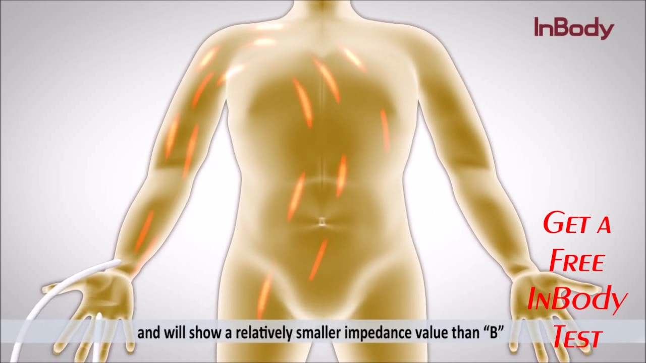 Introducing The InBody 270 Body Composition Analyzer