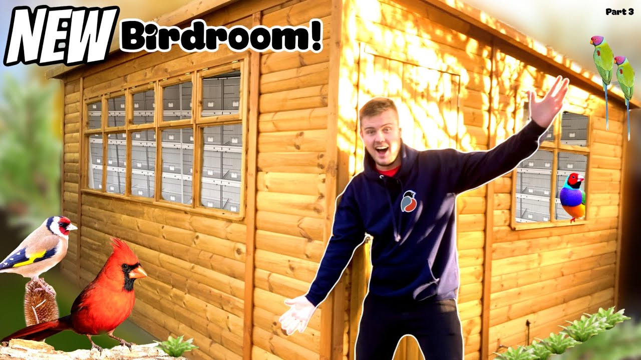 Building the NEW Birdroom - Part 3