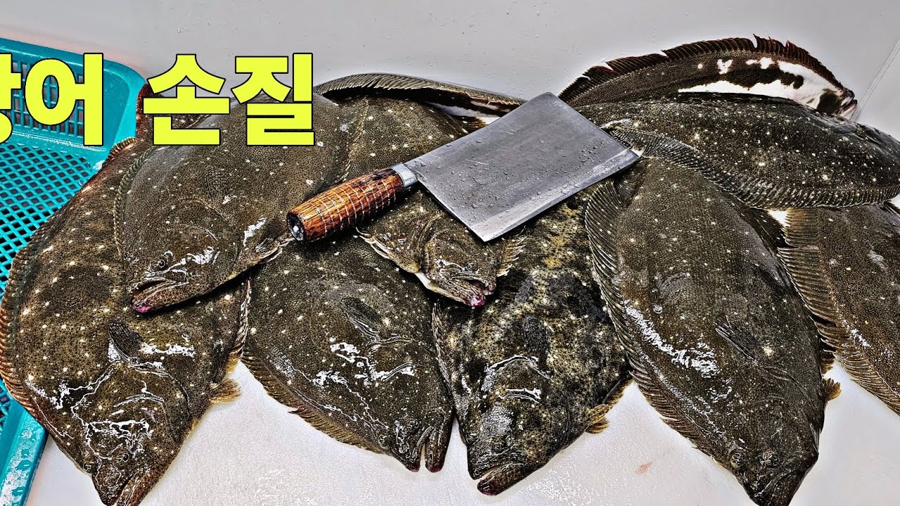 오늘의 광어 손질 #생선손질 