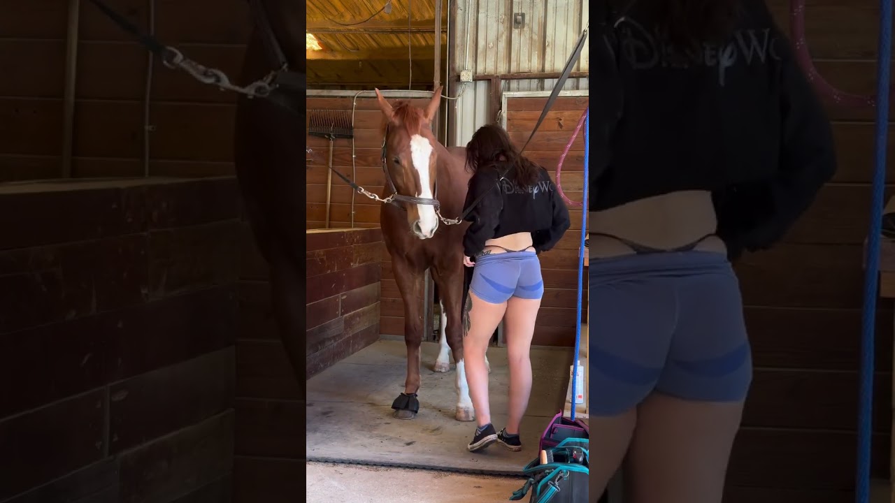 Good horse 🥰❤️ #horse #horses #horseriding #horsevideo #horseracing #horserider #funny