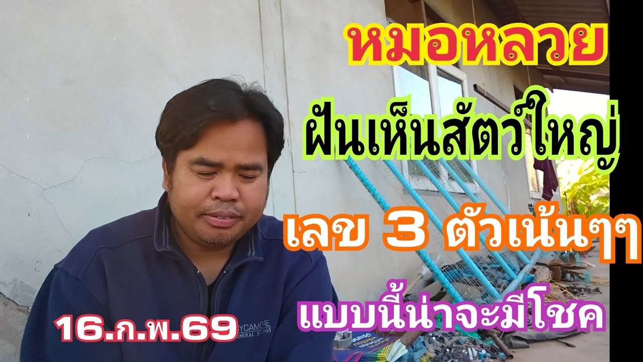 หมอหลวย ฝันดีมากๆต่องวดเห็นสัตว์ใหญ่ เลขตัวนี้น่าจะมา 16.ก.พ.69#หวย #เลขเด็ด 