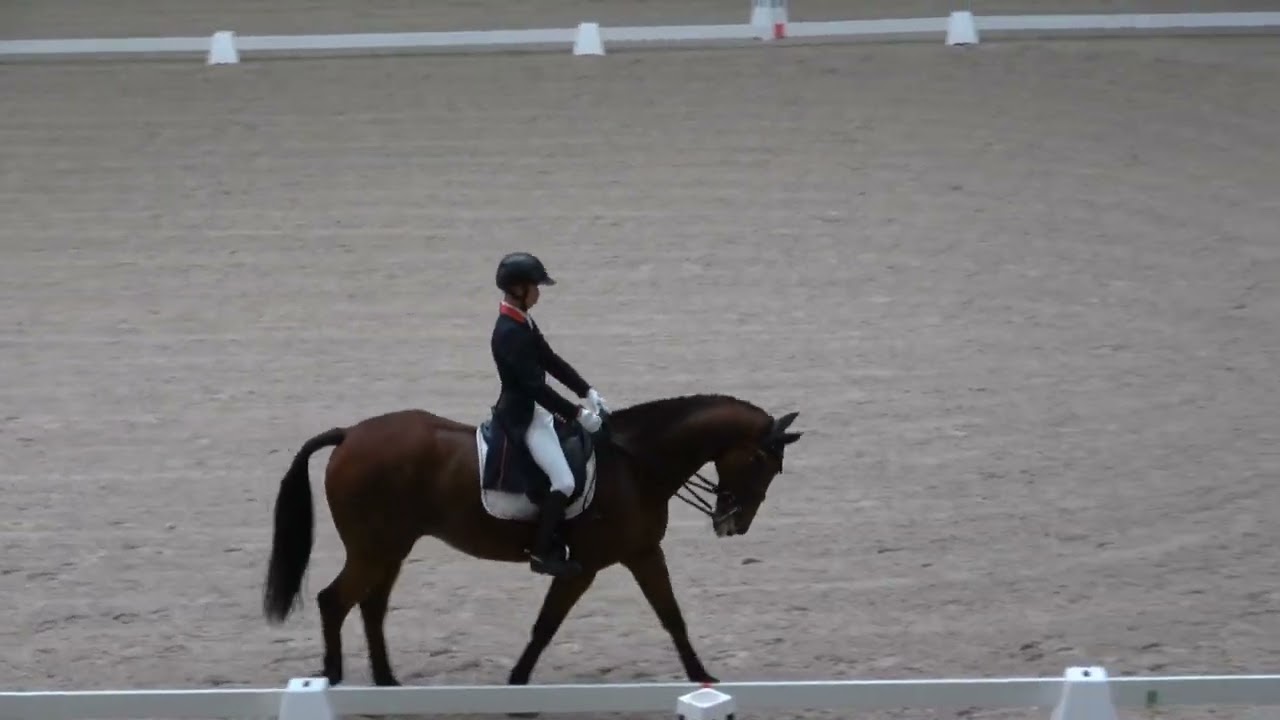 全日本学生馬術大会2023第66回全日本学生賞典馬場馬術競技大会　決勝　1年　砂川成弘　桜宇